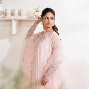 two color party wear dress, eastern dresses