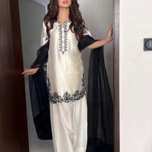 Pakistani shalwar kameez set